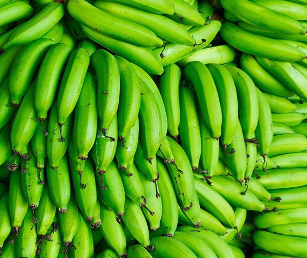 Plátano